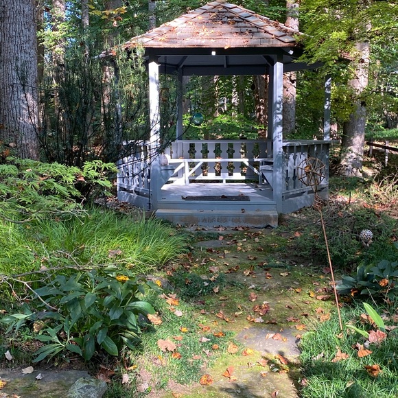 Please feel free to say hello❤️👍😊🌹🌹🌹🌹 - Picture 2 of 16